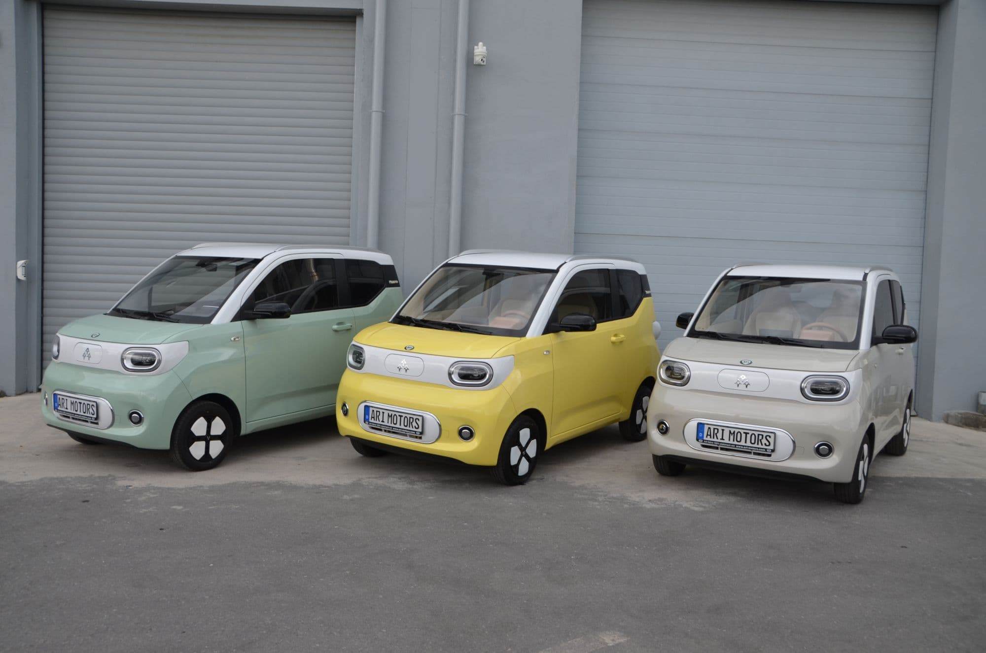 ARI Bruni electric car
